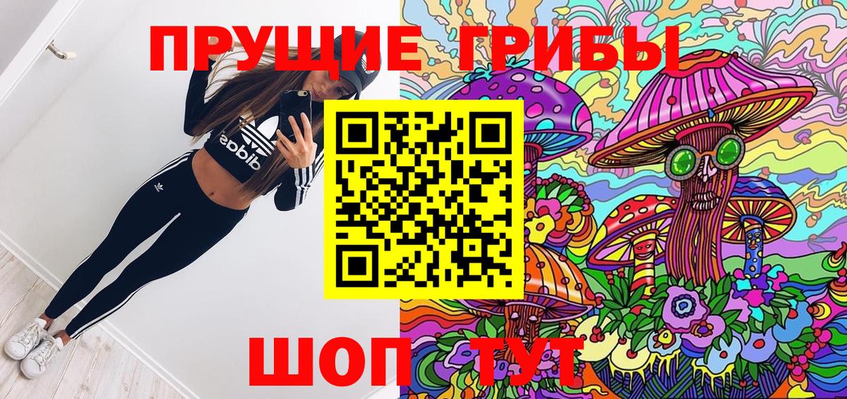Псилоцибиновые грибы Cubensis Великий Устюг