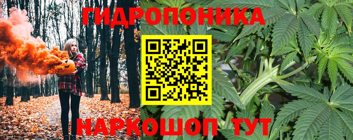 Бошки марихуана индика  Бошки марихуана ГИДРОПОН  Великий Устюг  Вход с VPN  Бошки Шишки Bruce Banner 